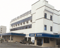 Compound-layer elastic finish