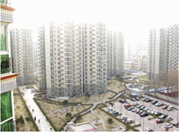 Aqueous assorted coloured primer 